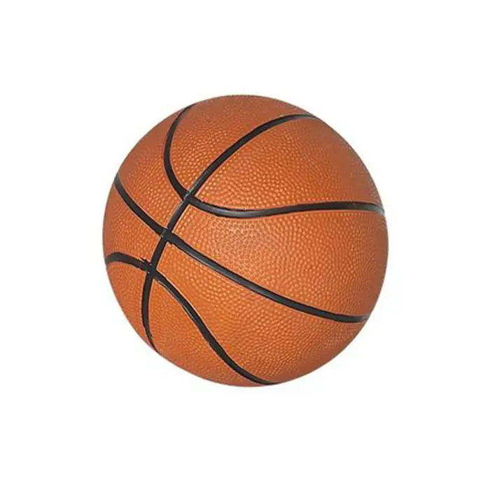 Image illustrant pour Ballon de basketball