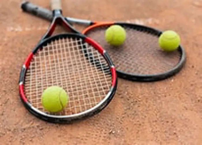 Image illustrant pour Raquette de tennis