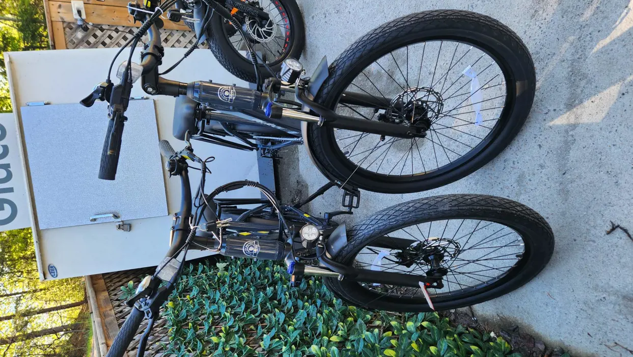 Image illustrating for Electric-assist bicycle