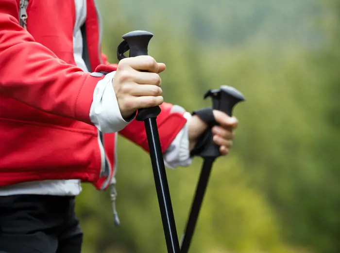 Image illustrating for Walking stick