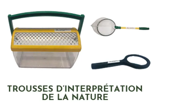 Image illustrating for Child Nature Kit