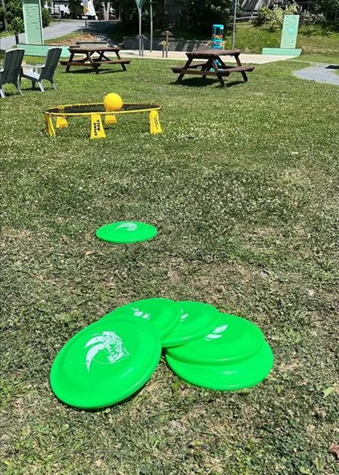 Image illustrant pour Disque volant (Frisbee)