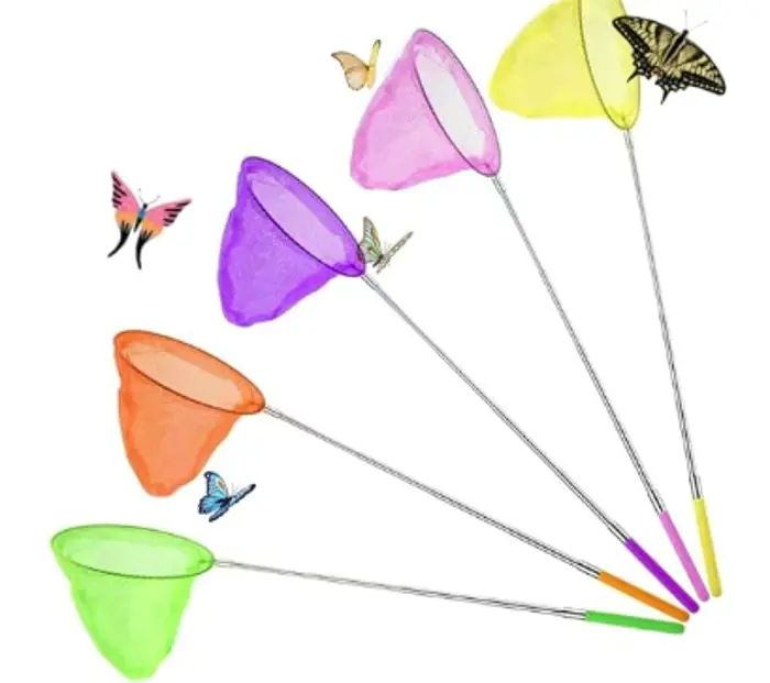 Image illustrating for Butterfly net